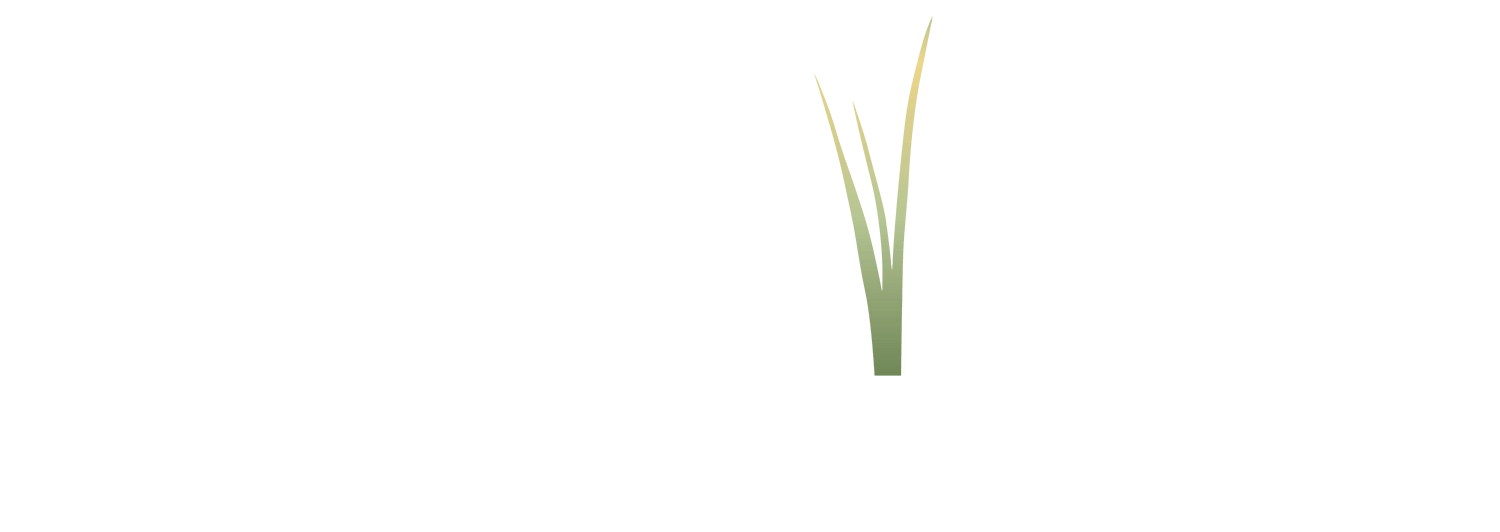 Prairie View Roofing
